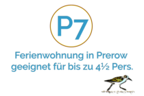 Ferienwohnung Traumstrand für 4 Personen und ein Kind Ferienwohnung-P7-für-4-Personen-und-Kind-Residenz-Kormoran-Prerow-Darss-Ostsee