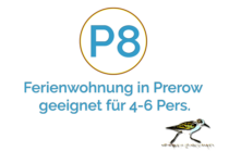 Ferienwohnung Buhnenspitze für 4-6 Personen Ferienwohnung-Buhnenspitze-für-4-6-Personen-Residenz-Kormoran-Prerow-Darss-Ostsee
