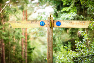Wegweiser zum Weststrand und nach Prerow im urtümlichen Darsswald. Wegweiser zum Weststrand und nach Prerow im urtümlichen Darsswald. Bild: Sebastian Lehmann - L-S-Photographie.de