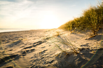 Sportstrand Prerow. Ferienhaus P, Residenz Kormoran, Ostsee, Prerow auf der Halbinsel Fischland-Darss-Zingst. Ferienwohnung mieten in Prerow. Sportstrand Prerow. Ferienhaus P, Residenz Kormoran, Ostsee, Prerow auf der Halbinsel Fischland-Darss-Zingst. Ferienwohnung mieten in Prerow. Bild: Sebastian Lehmann - L-S-Photographie.de