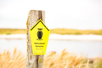 Nationalpark Kernzone am Nothafen Prerow Nationalpark Kernzone am Nothafen Prerow