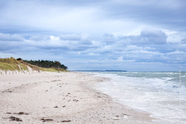 Der naturbelassene Weststrand bei Prerow nahe Darßer Ort. Der naturbelassene Weststrand bei Prerow nahe Darßer Ort. Ferienwohnung mieten in Prerow. Bild: Sebastian Lehmann - L-S-Photographie.de