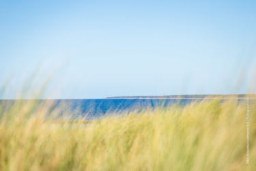 Der Darß und Darßer Ort von Ahrenshoop aus gesehen. Der Darß und Darßer Ort von Ahrenshoop aus gesehen. Bild: Sebastian Lehmann - L-S-Photographie.de