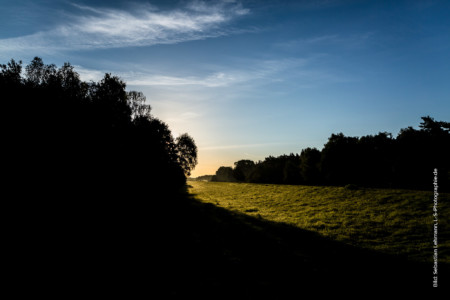 Sonneaufgang auf dem Deich nahe dem Sportstrand Prerow. Sonneaufgang auf dem Deich nahe dem Sportstrand Prerow. Bild: Sebastian Lehmann - L-S-Photographie.de