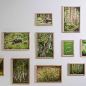 Alle Bilder im Elternschlafzimmer wurden im Darßwald aufgenommen